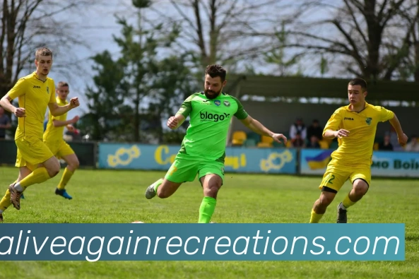 多彩内容专区