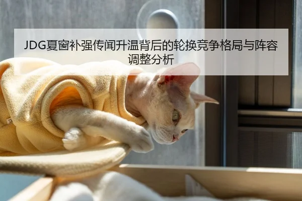 JDG夏窗补强传闻升温背后的轮换竞争格局与阵容调整分析